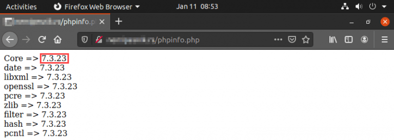 ¿Cómo comprobar la versión de PHP? - Netuy® | Crecé en Internet